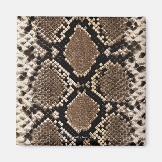 Imán Piel de serpiente (Frente)