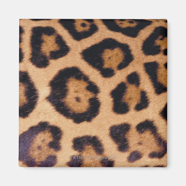 Imán Piel leopardo (Frente)
