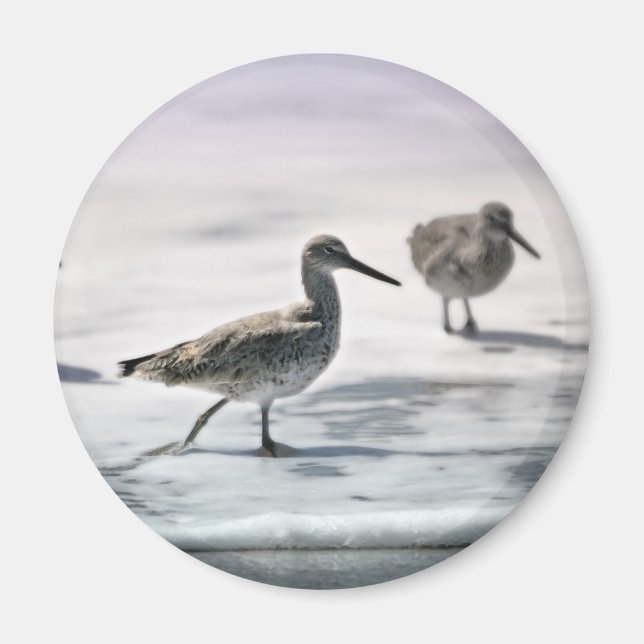 Imán Pieles de arena (Frente)