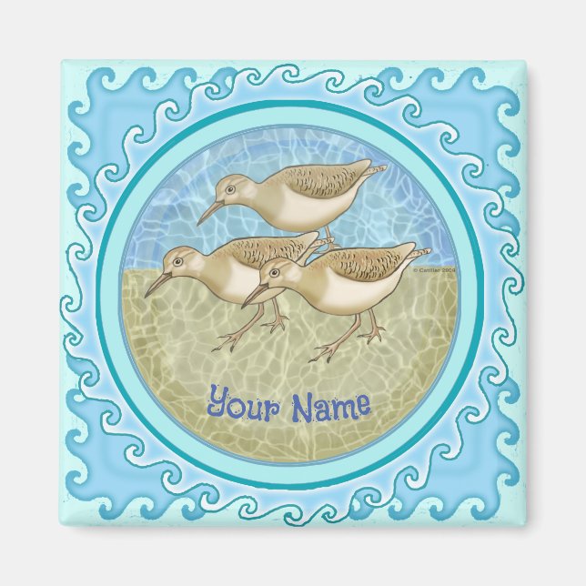 Imán Pieles de arena (Frente)