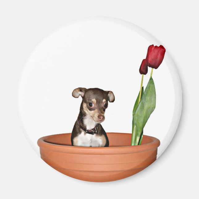 Imán ¡piensa primavera! (Frente)