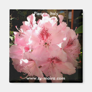 Imán Pienza, Italia