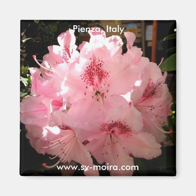 Imán Pienza, Italia (Frente)