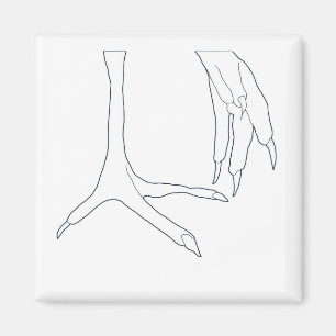 Imán pies del pollo