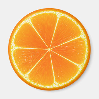 Imán Pieza de fruta del Naranja del cítrico