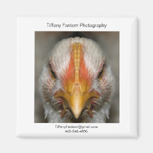 Imán Pieza de promoción de pollo