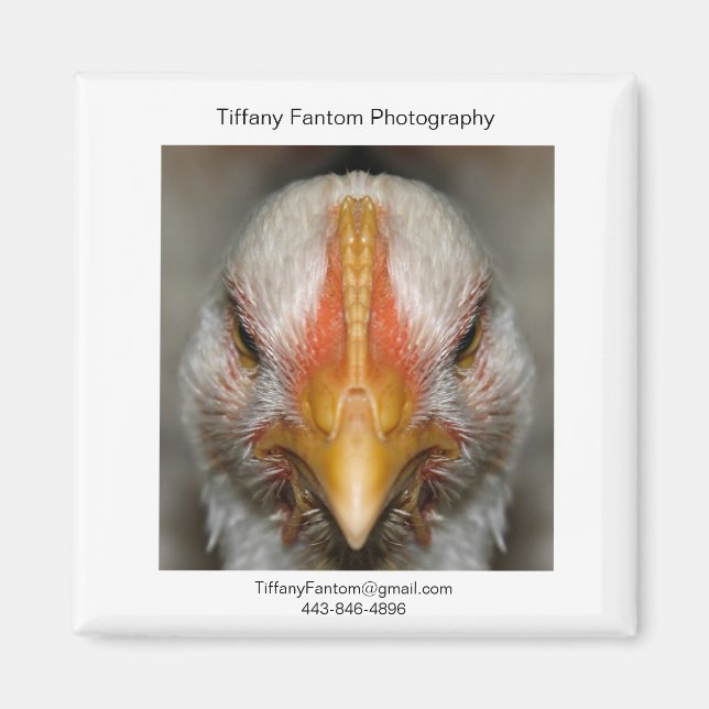 Imán Pieza de promoción de pollo (Frente)