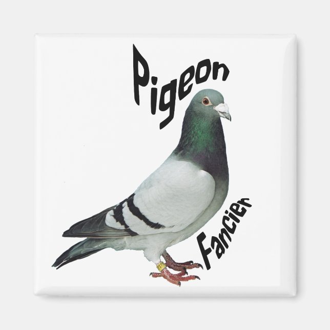 Imán Pigeon Fancier Magnet (Frente)