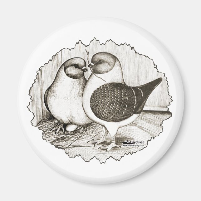 Imán Pigeons Modena Gazzi (Frente)