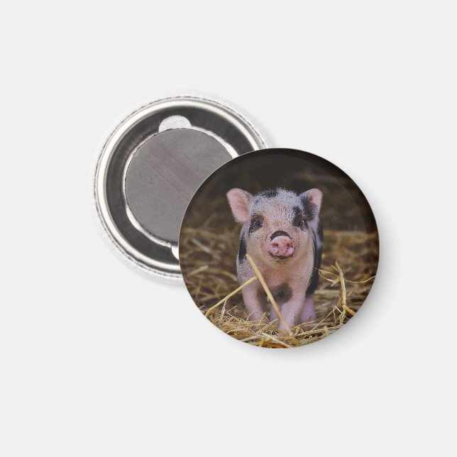 Imán Piglet rosa con puntos negros en paja (Anverso/Reverso)