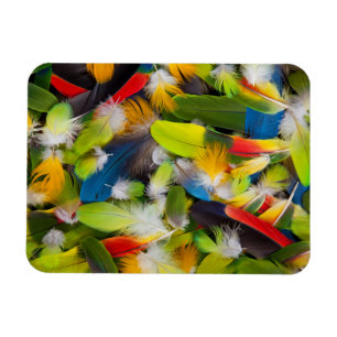 Imán Pila de plumas coloridas