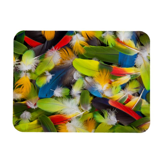 Imán Pila de plumas coloridas (Horizontal)