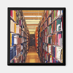 Imán Pilas de la biblioteca