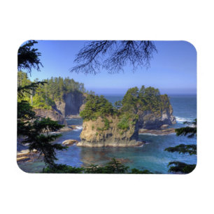 Imán Pilas de mar, tierras tribales de la nación Makah,