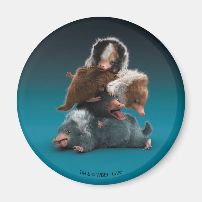 Imán Pile Baby NIFFLER™ (Frente)
