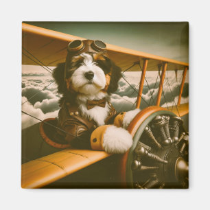 Imán piloto de Bernedoodle