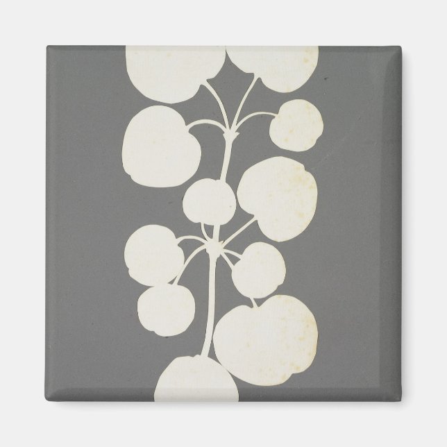 Imán Pimienta de Cayena (Frente)