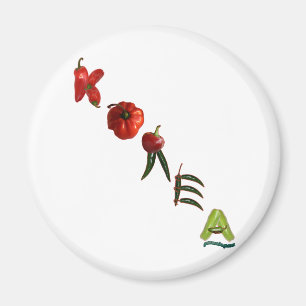 Imán Pimientas de chile de Corea