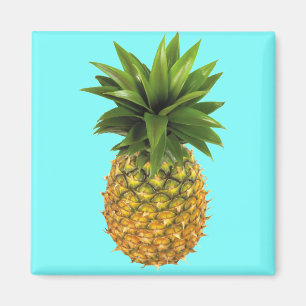 Imán Piña