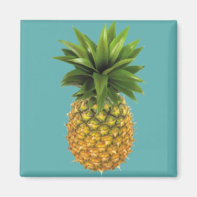 Imán Piña (Frente)