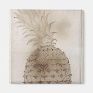Imán Piña,