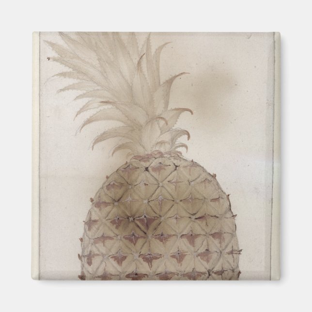 Imán Piña, (Frente)