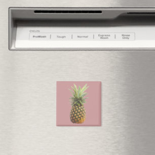 Imán Piña