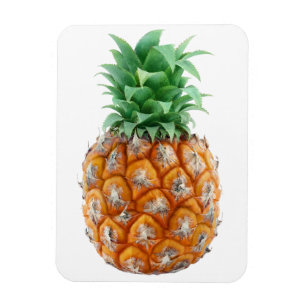 Imán Piña