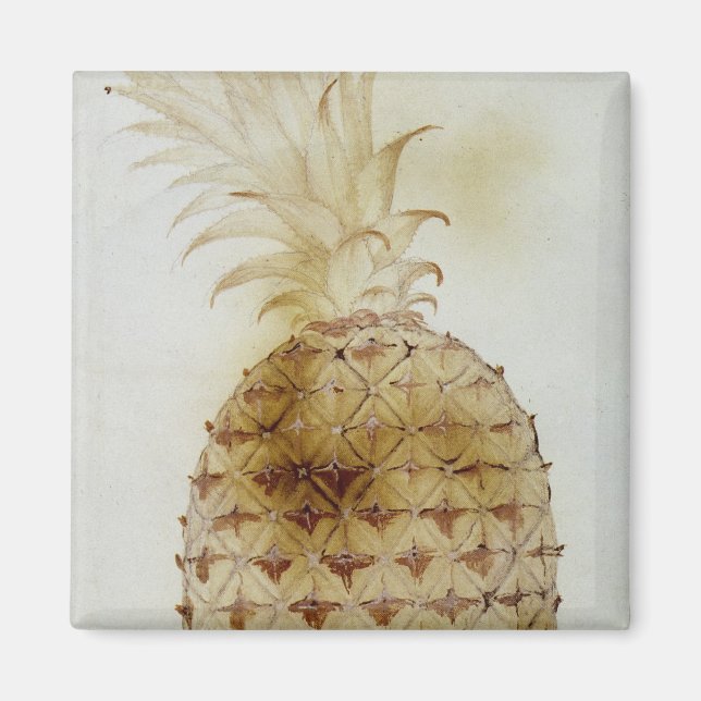 Imán Piña (Frente)