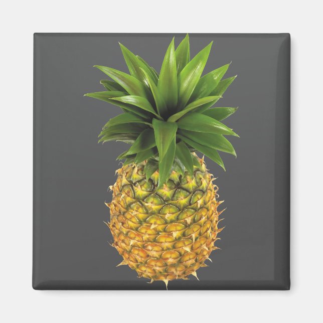 Imán Piña (Frente)