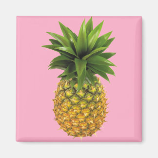 Imán Piña