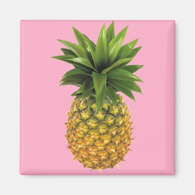Imán Piña (Frente)