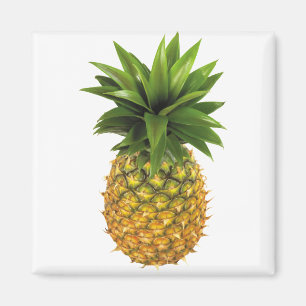 Imán Piña