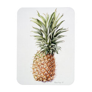 Imán Piña 1997
