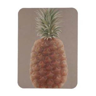 Imán Piña 2012
