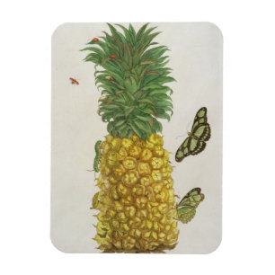 Imán Piña con oruga y mariposas (mano-c