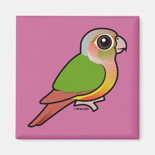 Imán Piña Conure Verde-cheeked de Birdorable
