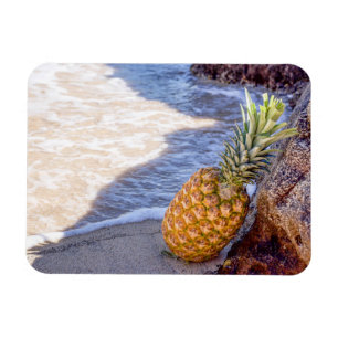 Imán Piña inclinada sobre rocas en la playa