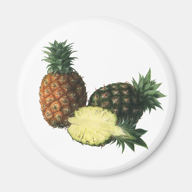 Imán Piñas hawaianas de época, fruta orgánica (Frente)