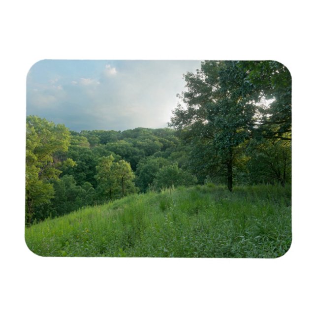 Imán Pine Bend Bluff sobre los bosques del valle (Horizontal)