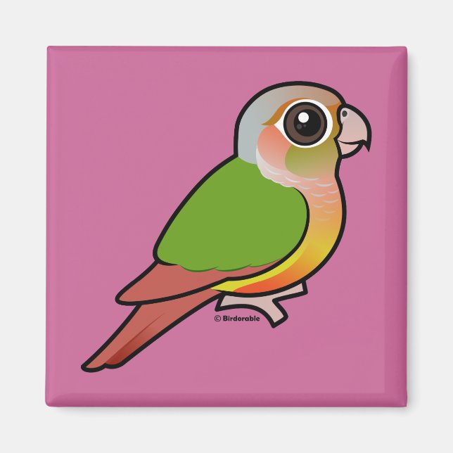 Imán Pineapple Birdorable Conure (Frente)