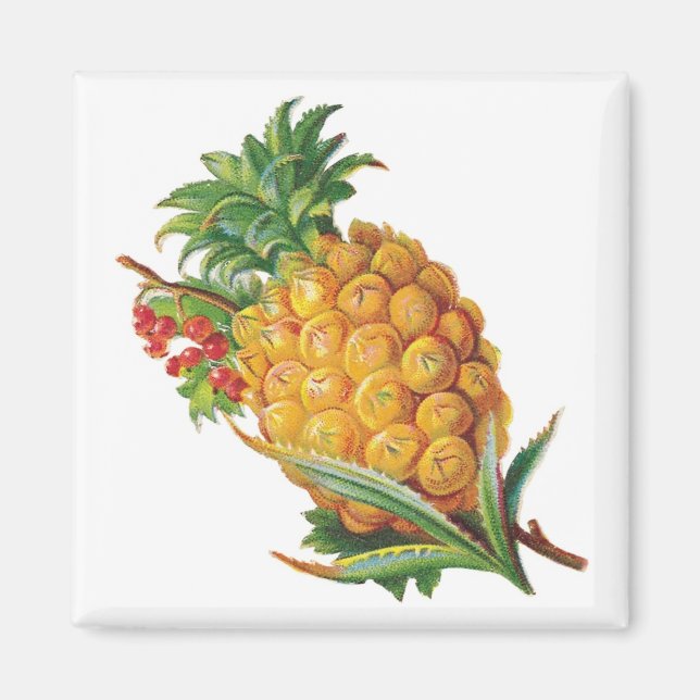 Imán Pineapple Magnet (Frente)