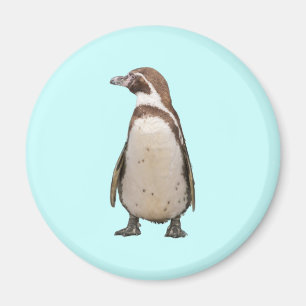 Imán Pingüino