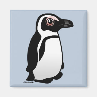Imán Pingüino africano