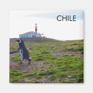 Imán Pingüino Chile