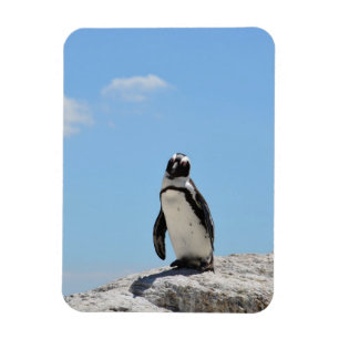 Imán Pingüino y cielo azul monocasco