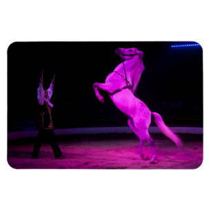 Imán Pink Circus Horse