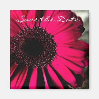 Imán Pink Daisy Save the Date Magnet