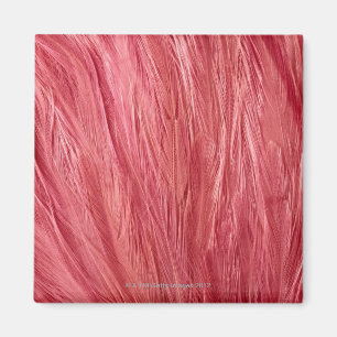 Imán Pink Feathers