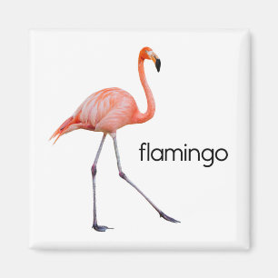 Imán Pink Flamingo